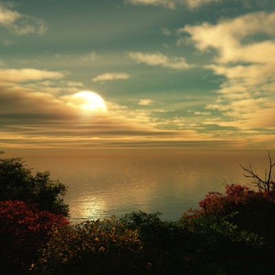 1920 x 1080 HD Wallpapers 1687